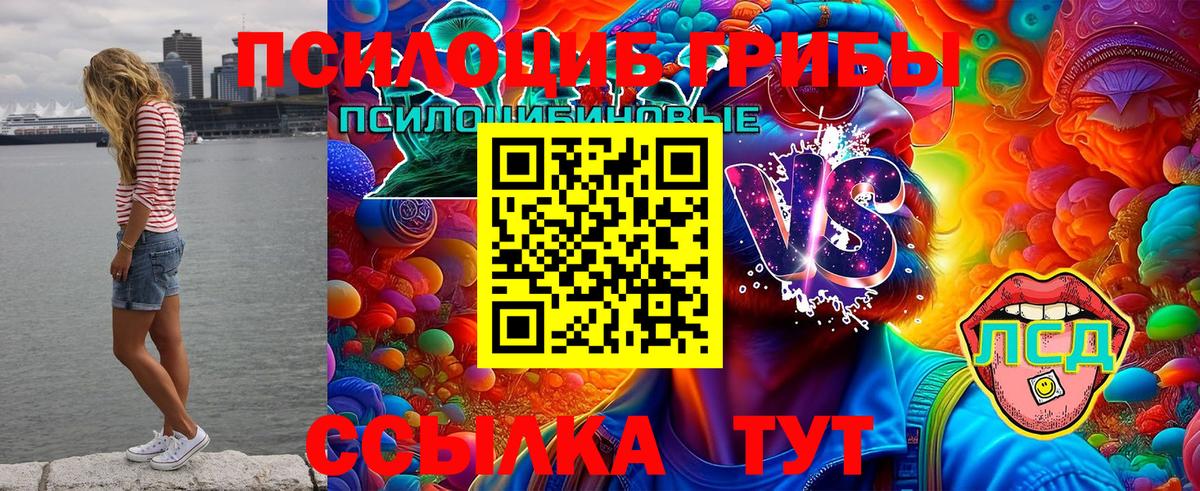 Галлюциногенные грибы ЛСД Новотроицк