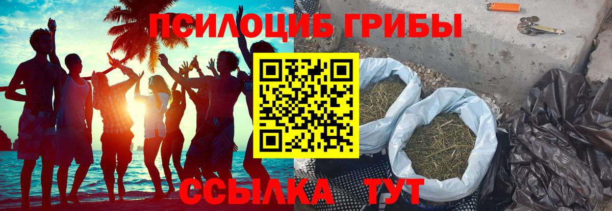 Новотроицк  Галлюциногенные грибы Magic Shrooms  Вход с VPN 